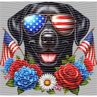 Animal Integration-DW 57